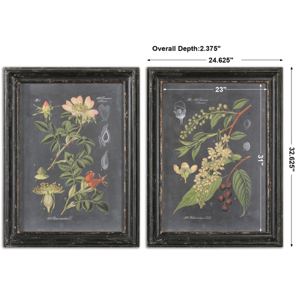 Midnight Botanicals Wall Art S/2