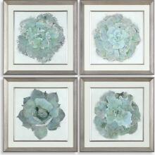 Natural Beauties-Botanical Prints