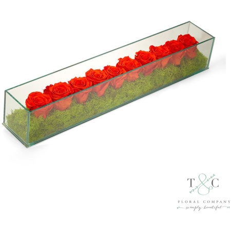 Orange Preserved Roses in Rectangle Glass - 24L x 4W x 4L Floral Arrangement