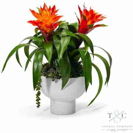 Orange Bromedliad in a Unique Contemporary Container - 18L X 14W X 14H Floral Arrangement