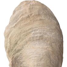 Oyster-Figurines & Sculptures