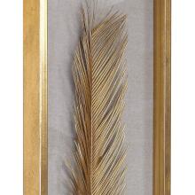 Palma-Shadow Box