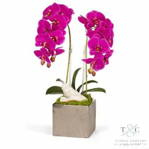 Pantones 2022 2023 Autumn Winter Palette Has Arrived Dallas Decor Purple Orchids