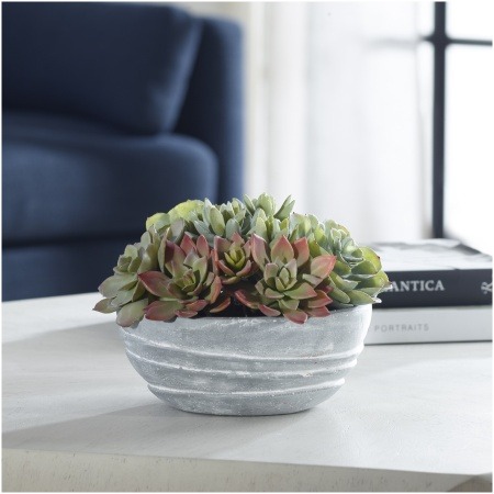 Uttermost Peoria Succulent Accent