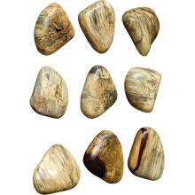 Pebbles-Wood Wall Art