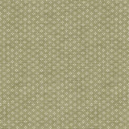 Pk-Reef/Green - Multi Purpose Fabric Suitable For Drapery