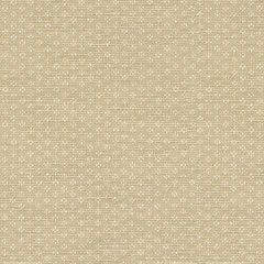 Pk-Reef/Linen - Multi Purpose Fabric Suitable For Drapery