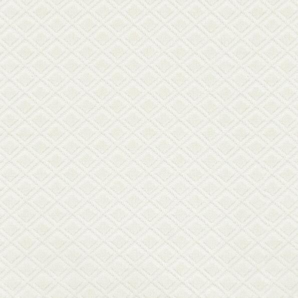 Pk-Shecker/White - Upholstery Only Fabric Suitable For Upholstery And Pillows Only.   - Fort Worth