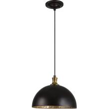 Placuna-Pendants