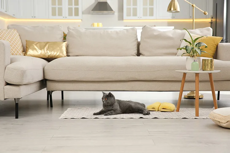  Dont Sacrifice Style With These 5 Pet-Friendly Fabrics Frisco Fabric Store Tx