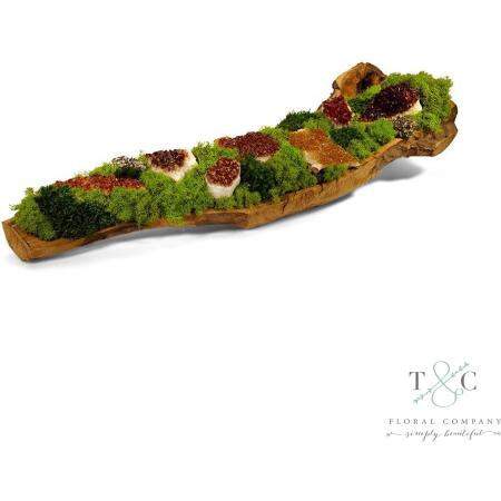 Preserved Moss and Citrine in Wooden Log - 36L x 8W x 11H Floral Arrangement