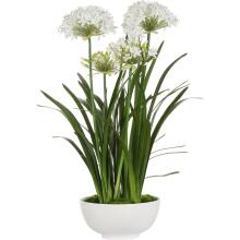 Purity Agapanthus-Artificial Flowers / Centerpiece
