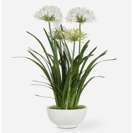 Purity Agapanthus-Artificial Flowers / Centerpiece