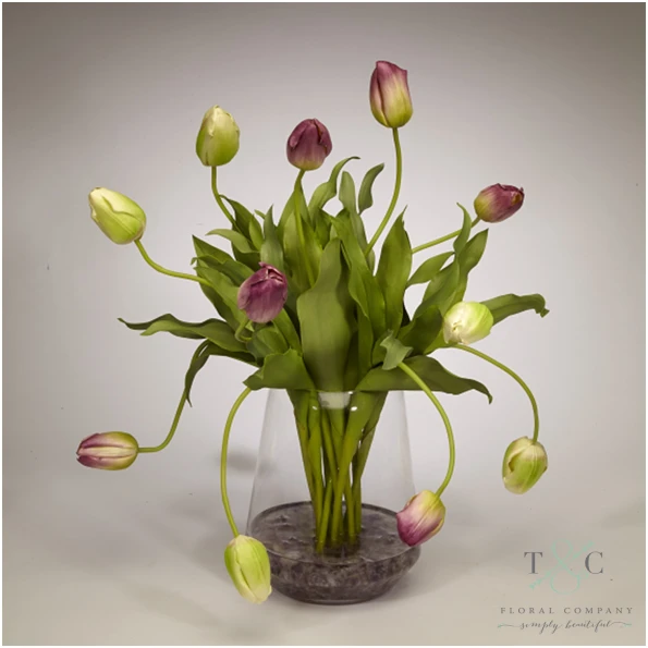 Purple Tulips In Clear Glass Vase - 21L X 21W X 24H Floral Arrangement