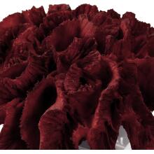 Red Coral Cluster-Table Top Accessories