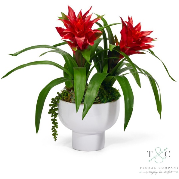 Red Bromedliad In A Unique Contemporary Container - 18L X 14W X 14H Floral Arrangement