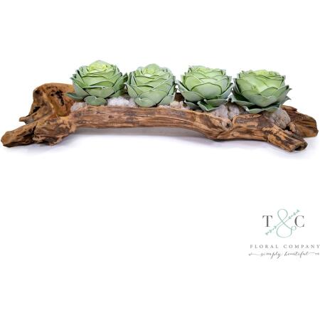 Row of Rose Echeverria in Wooden Log - 40L x 10W x 10H Floral Arrangement
