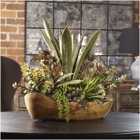 Uttermost Salar Succulents In Teak Bowl