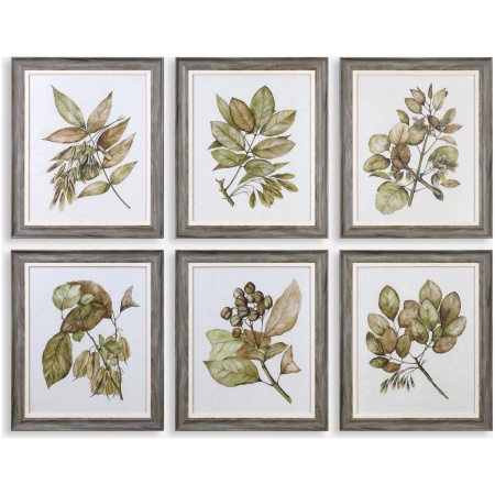 Seedlings-Framed Prints
