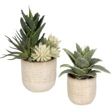 Seaside Succulents-Artificial Flowers / Centerpiece