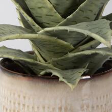 Seaside Succulents-Artificial Flowers / Centerpiece