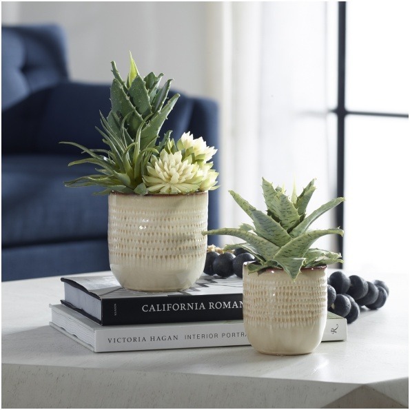 Uttermost Seaside Succulents