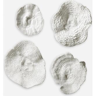 Sea Coral-Sea Coral Wall Art