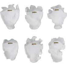 Self-Portrait-White Mask Wall Décor