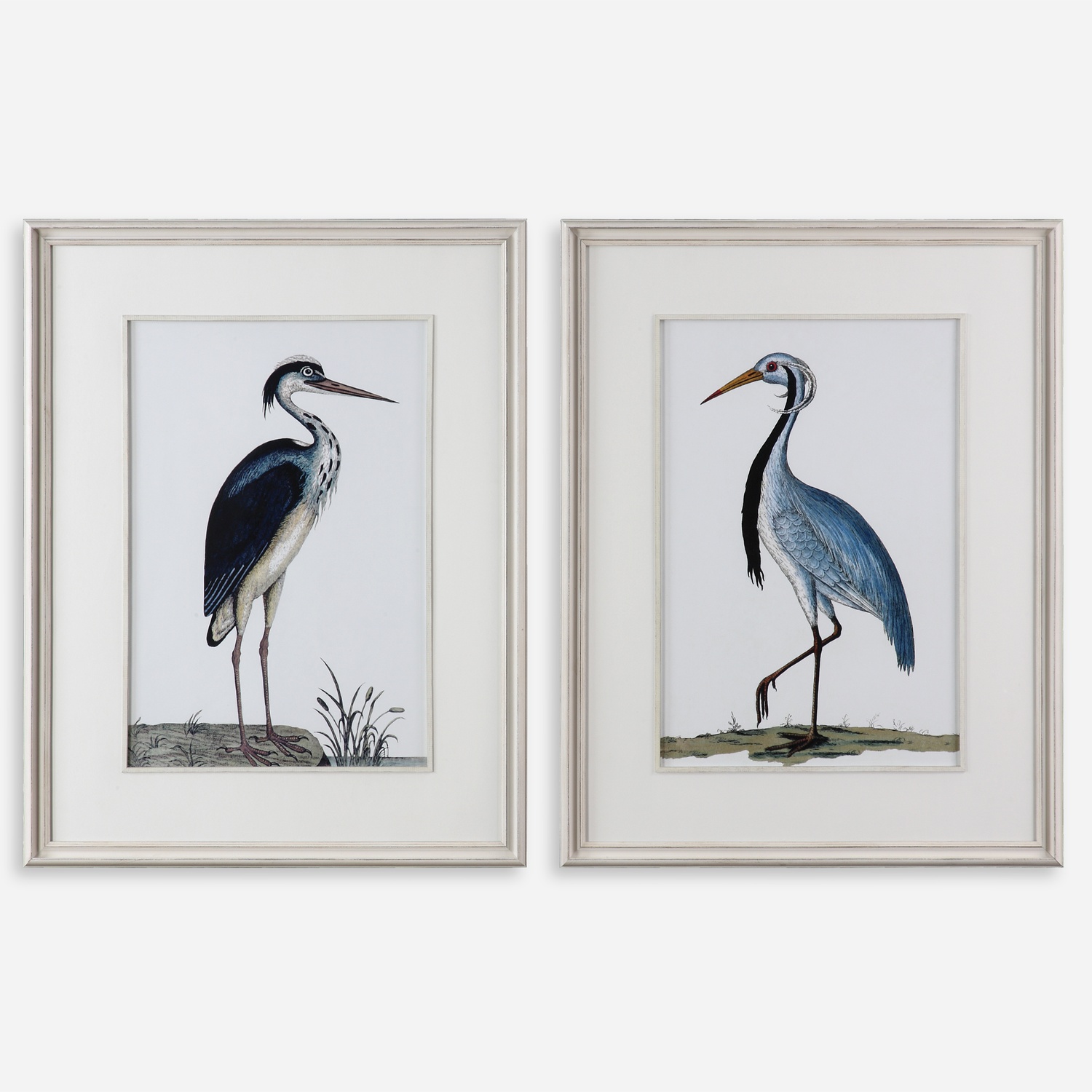 Shore Birds-Framed Bird Prints
