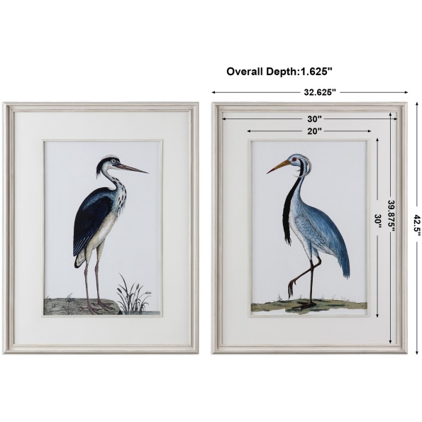 Shore Birds Framed Prints S/2