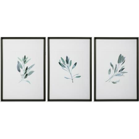 Simple Sage-Botanical Prints