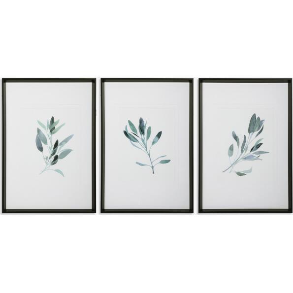 Simple Sage-Botanical Prints