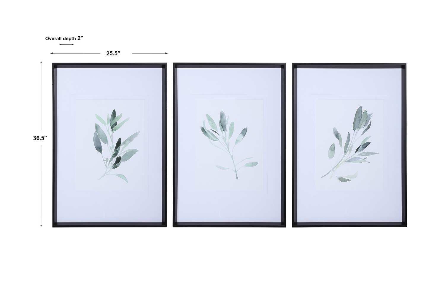 Simple Sage-Botanical Prints