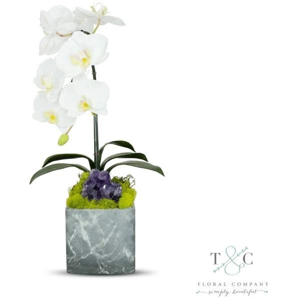 Single White Orchid With Amethyst In Black And Gray Faux Marble Container - 8L X 8W X 24H Floral Arrangement