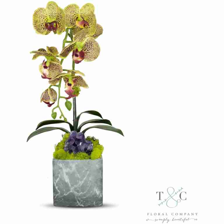 Single Green Orchid with Amethyst in Black and Gray Faux Marble Container - 8L x 8W x 24H Floral Arrangement