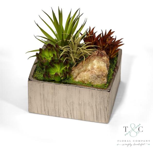 Succulents In Silver Square Container - 10L X 10W X 9H Floral Arrangement