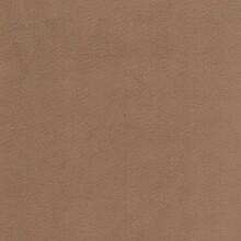 SUN VELVET/CAMEL – Fabric