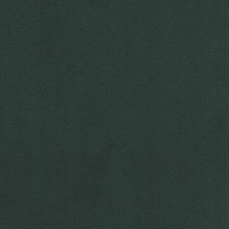 Sun Velvet/Forest - Outdoor Fabric Suitable For Drapery