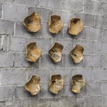 Tamarine-Wall Art