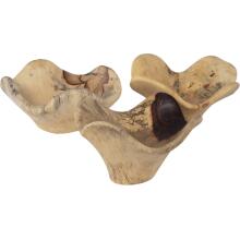 Tamarine-Wall Art