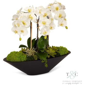 White Orchid in Large Metal Boat - 26L x 11W x 24H Floral Arrangement