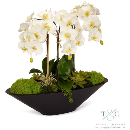 White Orchid in Large Metal Boat - 26L x 11W x 24H Floral Arrangement
