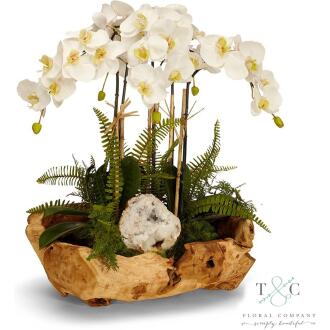 White Orchid and Geode in Wood Bowl - 20L x 15W x 16H Floral Arrangement