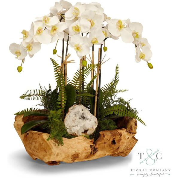 White Orchid and Geode in Wood Bowl - 20L x 15W x 16H Floral Arrangement