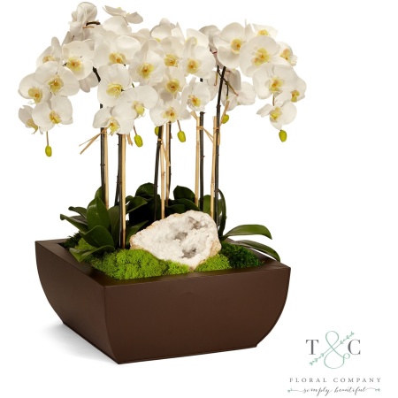 White Orchid and Geode in Large Metal Box - 21L x 21W x 29H Floral Arrangement