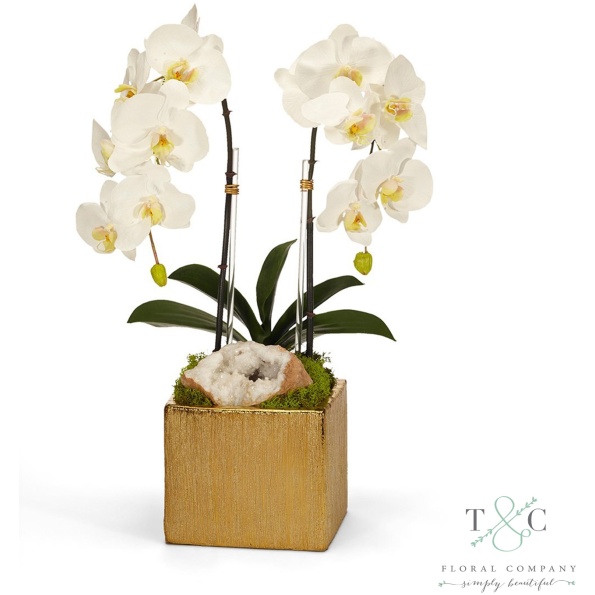 White Double Orchid In Gold Square - 10L X 9W X 21H Floral Arrangement