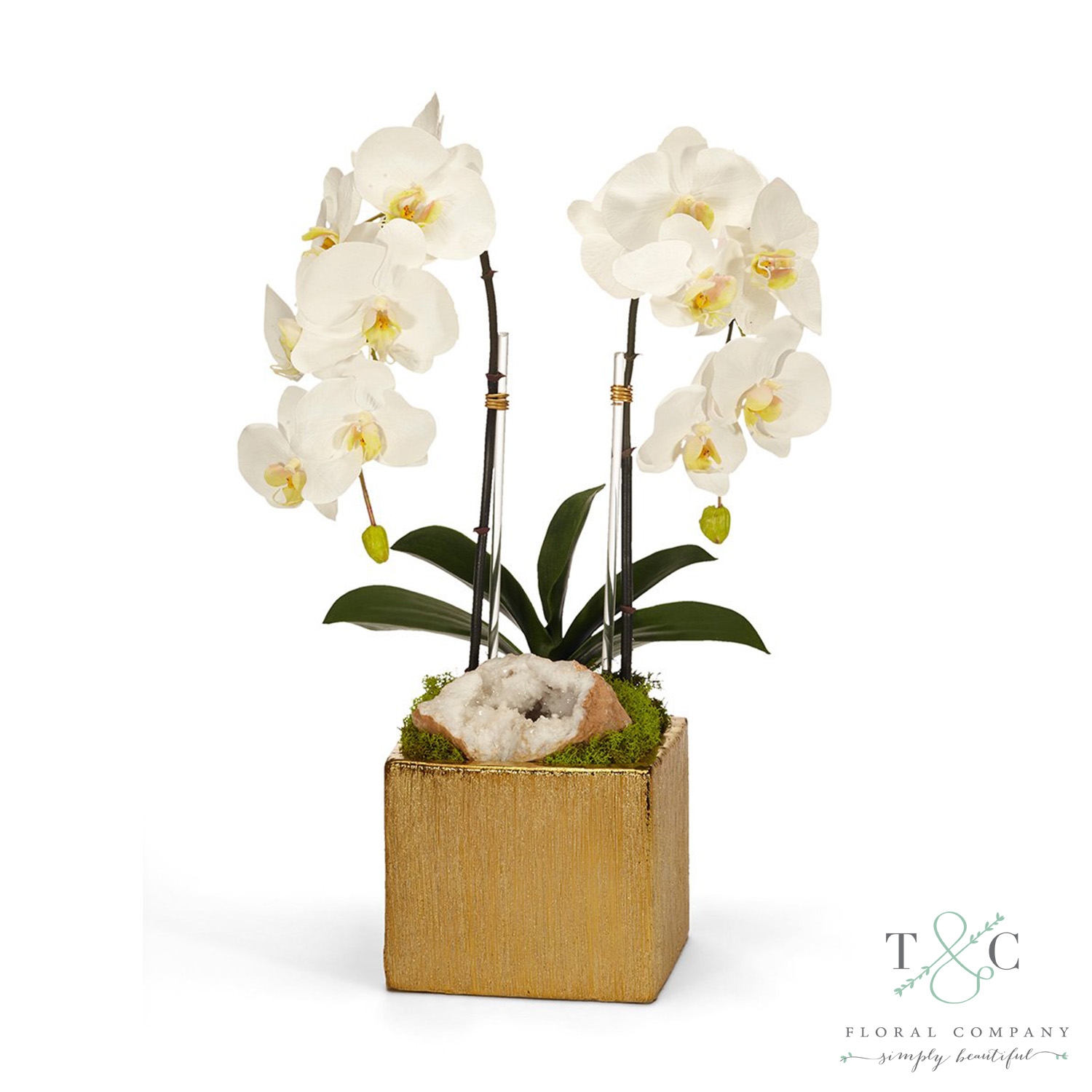 White Double Orchid in Gold Square - 10L x 9W x 21H Floral Arrangement