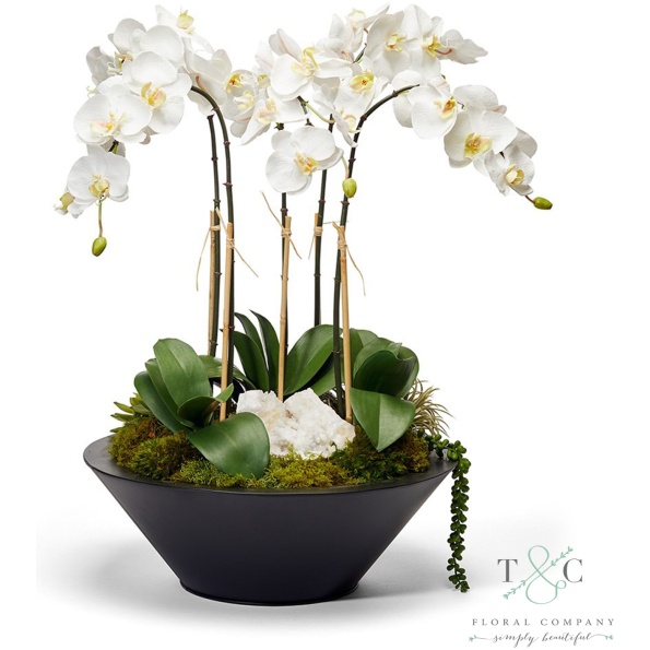 White Orchids In Sleek Metal Container - 22L X 22W X 26H Floral Arrangement