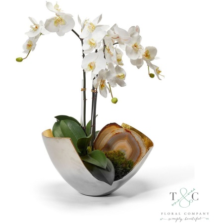 White Orchids in Two-toned Metal Bowl with Agate - 23L X 15W X 15H Floral Arrangement