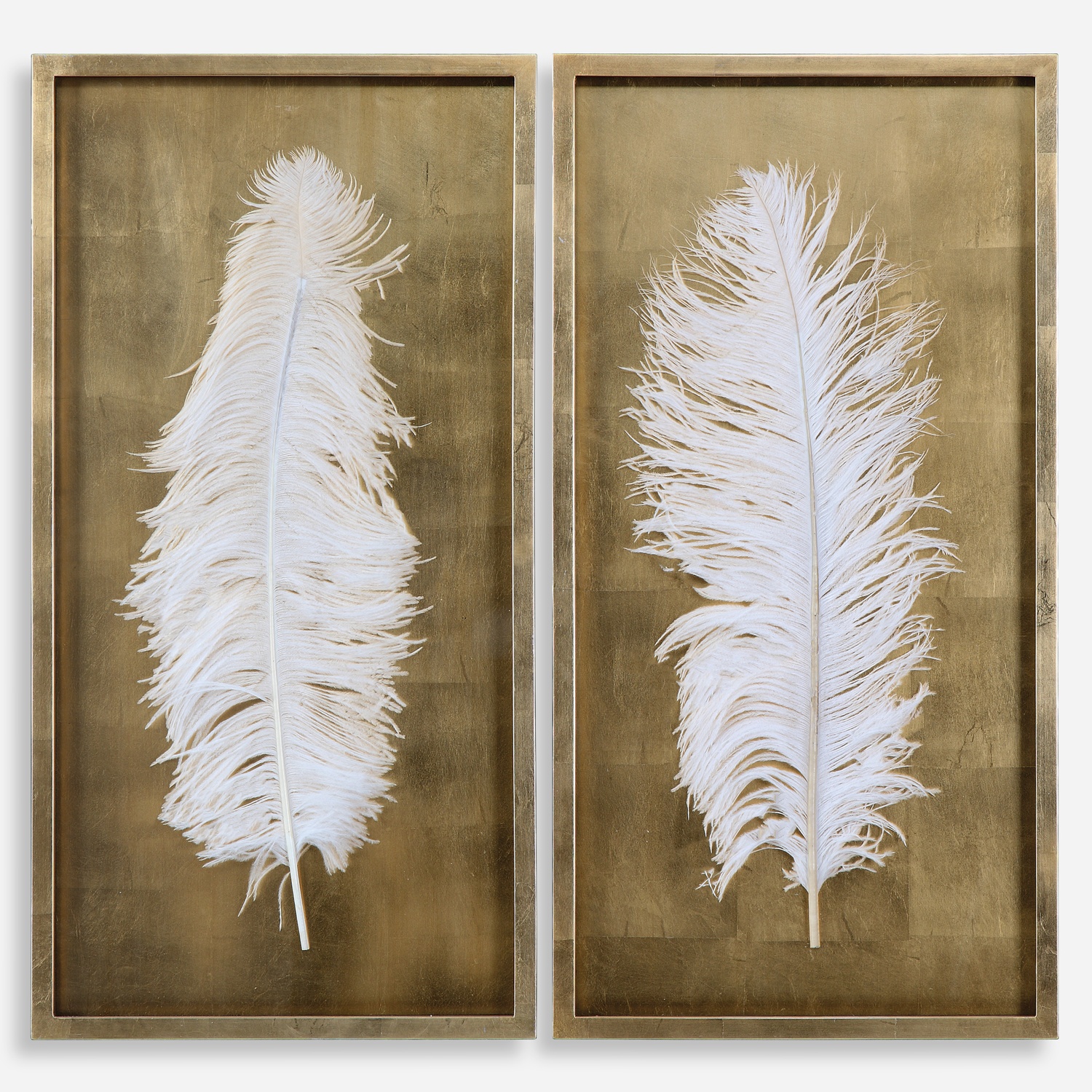 White Feathers-Shadow Box / Wall Art